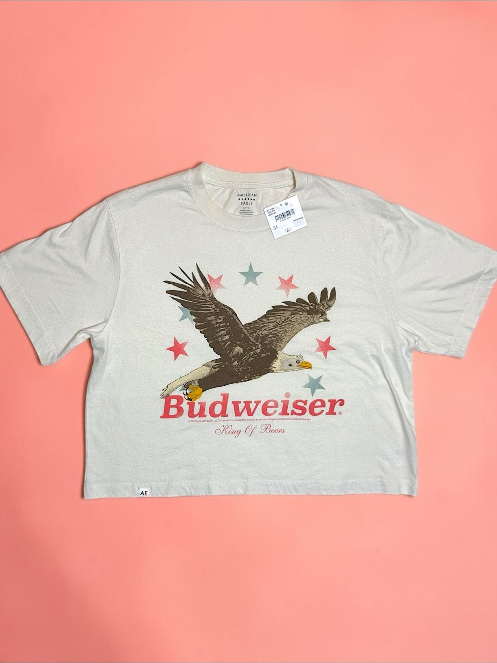 AE Boxy Budweiser Graphic T-Shirt